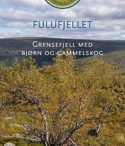 Appartement 15 - Fulufjellets Nasjonalparker - Sno - Alpint - Langrenn - Snoscooter *