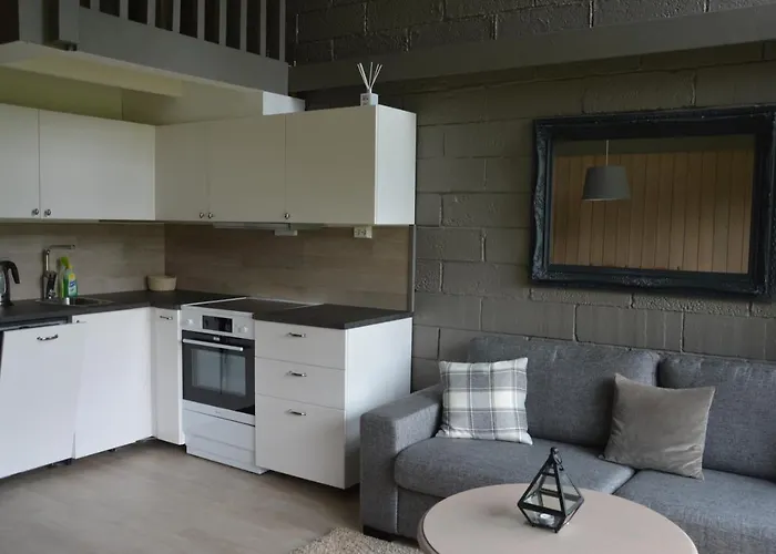 Appartement 15 - Fulufjellets Nasjonalparker - Sno - Alpint - Langrenn - Snoscooter *