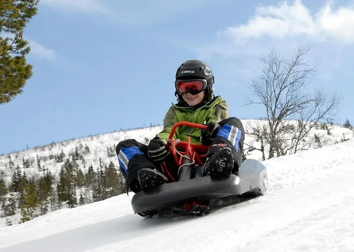 Appartement 15 - Fulufjellets Nasjonalparker - Sno - Alpint - Langrenn - Snoscooter *