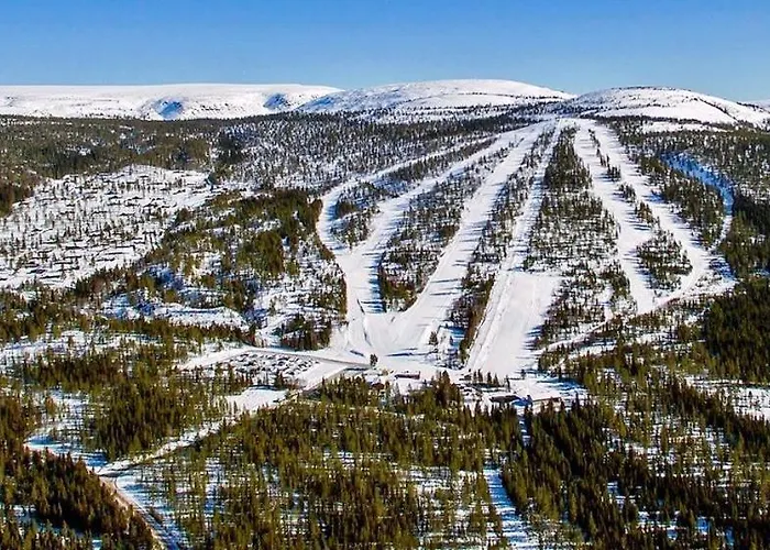 15 - Fulufjellets Nasjonalparker - Sno - Alpint - Langrenn - Snoscooter Ljordalen