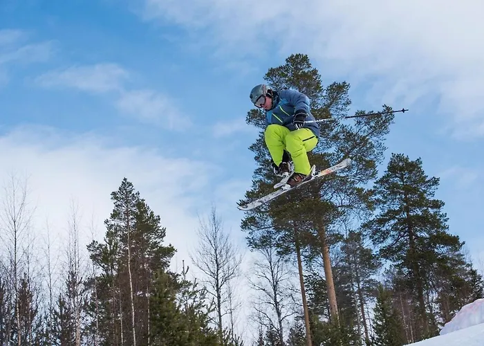 Appartement 15 - Fulufjellets Nasjonalparker - Sno - Alpint - Langrenn - Snoscooter *