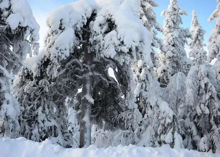 Appartement 15 - Fulufjellets Nasjonalparker - Sno - Alpint - Langrenn - Snoscooter