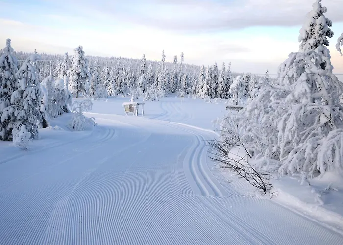 15 - Fulufjellets Nasjonalparker - Sno - Alpint - Langrenn - Snoscooter
