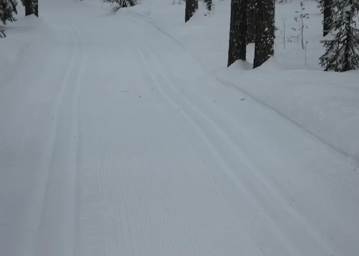 15 - Fulufjellets Nasjonalparker - Sno - Alpint - Langrenn - Snoscooter * Ljordalen
