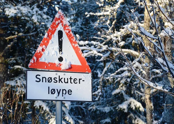 15 - Fulufjellets Nasjonalparker - Sno - Alpint - Langrenn - Snoscooter * Ljordalen