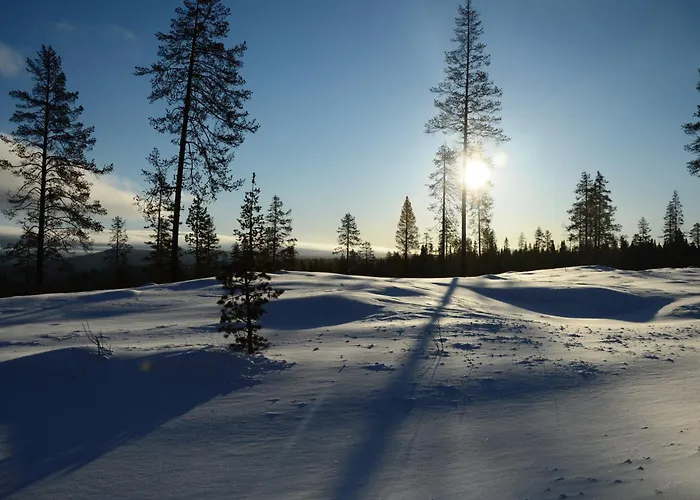 15 - Fulufjellets Nasjonalparker - Sno - Alpint - Langrenn - Snoscooter * Ljordalen