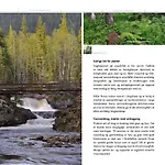 Leilighet 15 - Fulufjellets National Parks -this Is The Place Where Norway And Sweden Meet In A Large Protected Area For Animals And Nature Ljordalen