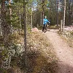 15 - Fulufjellets National Parks -this Is The Place Where Norway And Sweden Meet In A Large Protected Area For Animals And Nature * Ljordalen