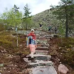 15 - Fulufjellets National Parks -this Is The Place Where Norway And Sweden Meet In A Large Protected Area For Animals And Nature