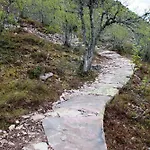 15 - Fulufjellets National Parks -this Is The Place Where Norway And Sweden Meet In A Large Protected Area For Animals And Nature 아파트 *