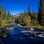 Leilighet 15 - Fulufjellets National Parks -this Is The Place Where Norway And Sweden Meet In A Large Protected Area For Animals And Nature *
