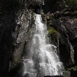 Leilighet 15 - Fulufjellets National Parks -this Is The Place Where Norway And Sweden Meet In A Large Protected Area For Animals And Nature
