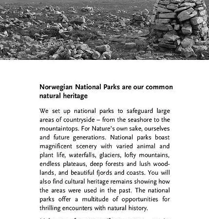 15 - Fulufjellets National Parks -this Is The Place Where Norway And Sweden Meet In A Large Protected Area For Animals And Nature Daire Ljordalen
