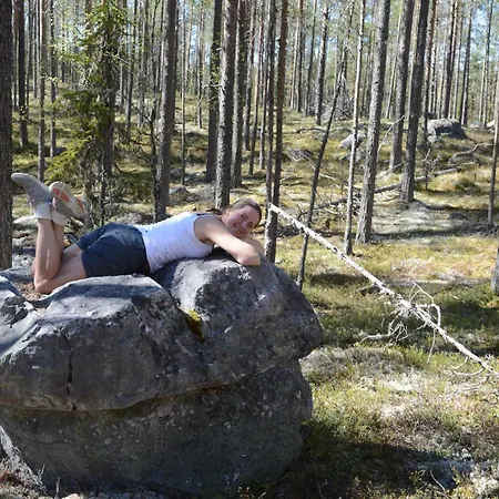15 - Fulufjellets National Parks -this Is The Place Where Norway And Sweden Meet In A Large Protected Area For Animals And Nature Daire *