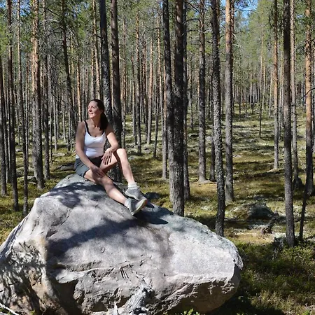 15 - Fulufjellets National Parks -this Is The Place Where Norway And Sweden Meet In A Large Protected Area For Animals And Nature Daire *